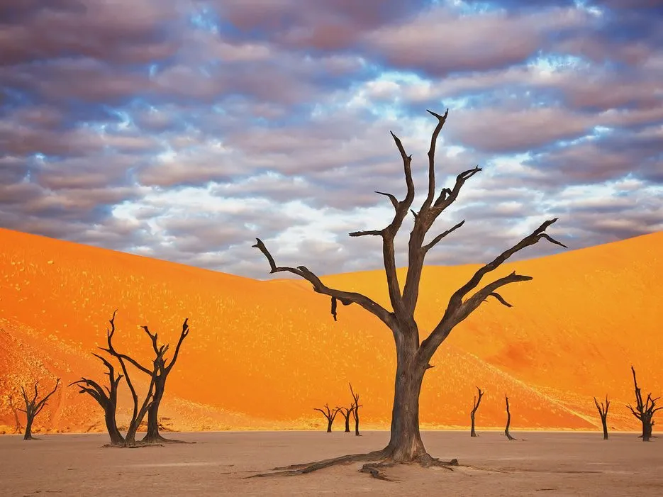 Công viên Namib Naukluft, Namibia