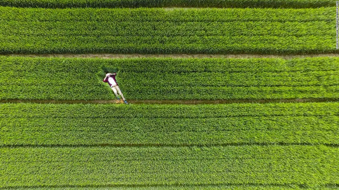 Chàng trai thả mình thư giãn giữa thiên nhiên ở Sơn Đông, Trung Quốc