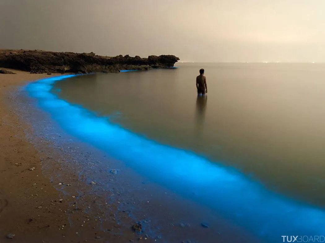 Bioluminous Larak, Iran.