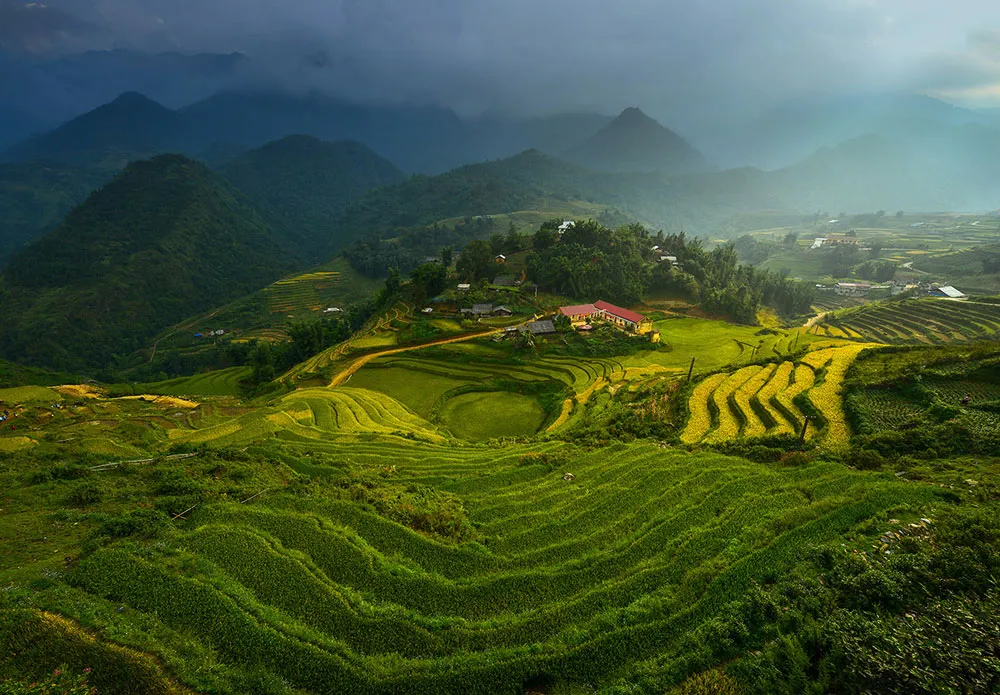 Trong cuộc thi ảnh "Your Shot" (Bức hình của bạn) do Tạp chí National Geographic tổ chức, tác phẩm chụp ruộng bậc thang Việt Nam được đánh giá cao.