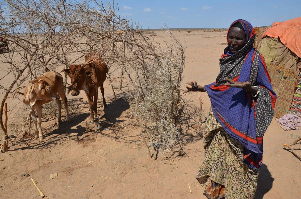 Nông dân Ethiopia than thở vì hạn hán kéo dài đe dọa an ninh lương thực