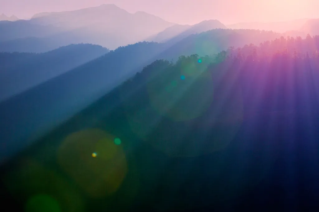 New Day