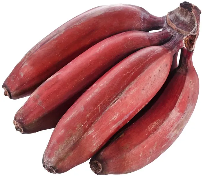Chuối đỏ.