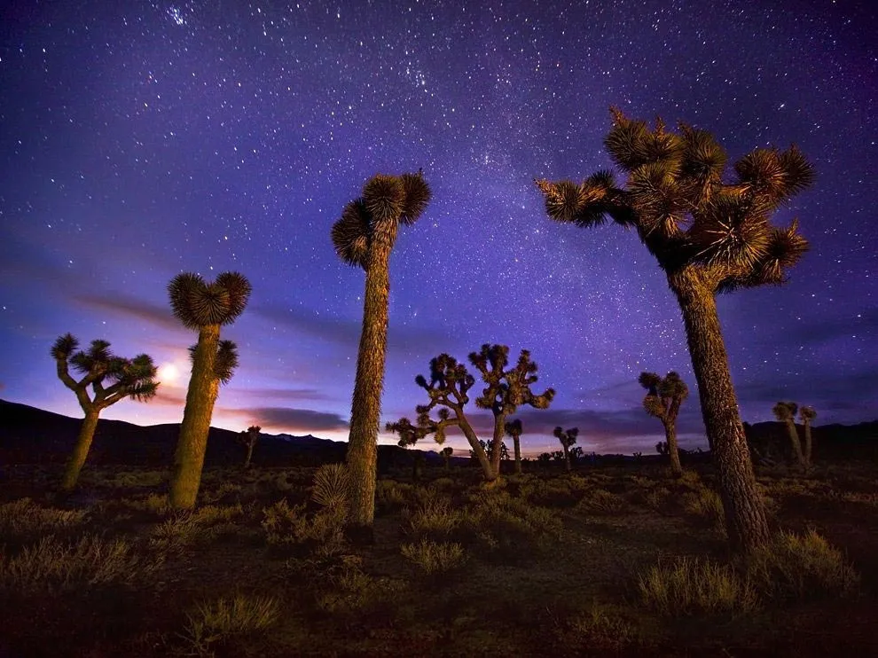 Thung lũng Tử Thần, California, Mỹ