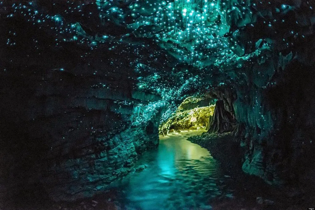 Hang sâu Glow, New Zealand