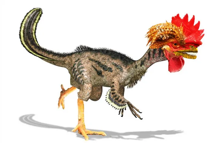 Khủng long ra đời từ gà biến đổi gene.