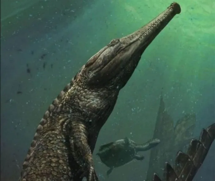 Machimosaurus rex là loài cá sấu sống dưới biển lớn nhất từ trước tới nay.