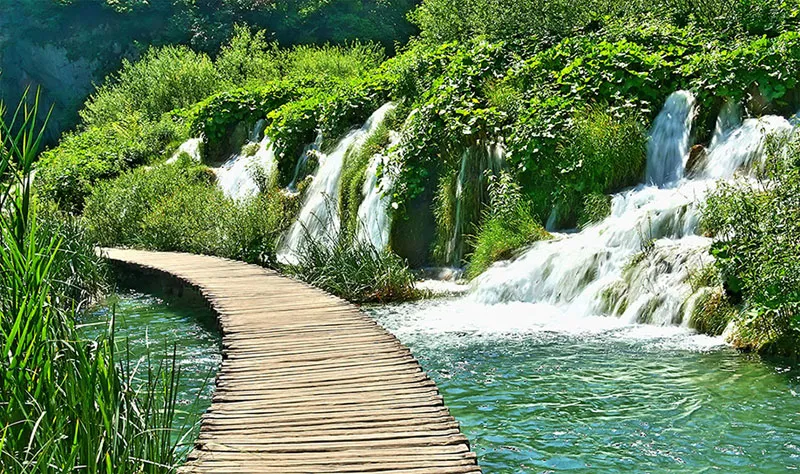 Đường mòn qua hồ Plitvice ở Croatia nằm trong Công viên Quốc gia Croatia