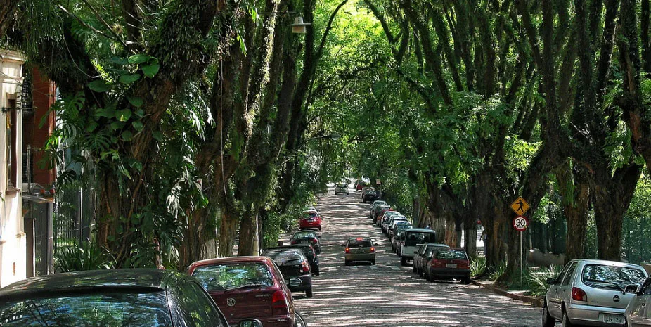 Đường Goncalo de Carvalho ở Brazil được coi đẹp nhất thế giới