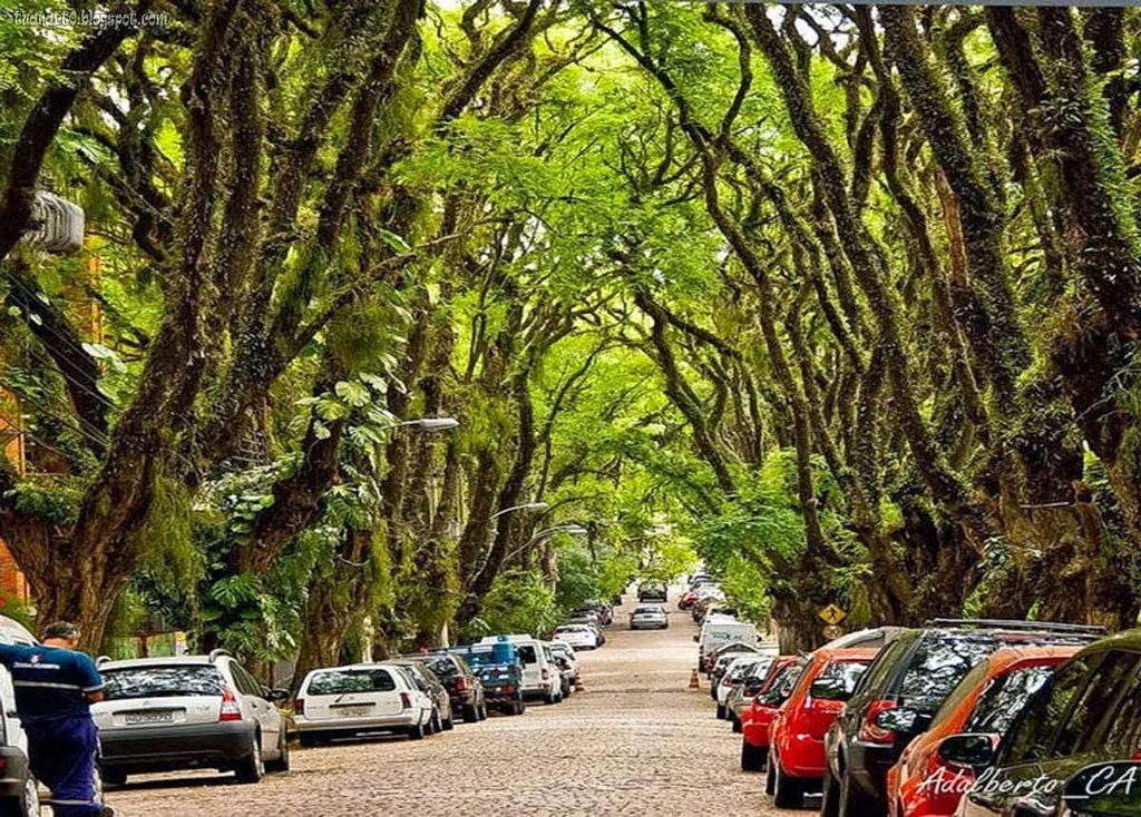 con đường là một phần của di sản lịch sử văn hóa, sinh thái và môi trường của Brazil.