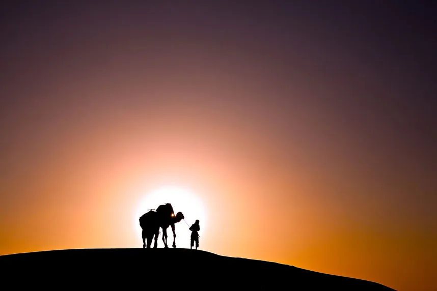 Người Berber và con lạc đà