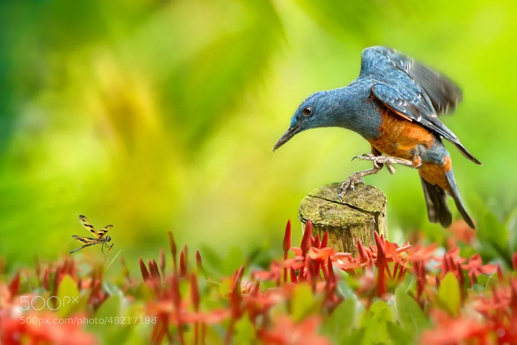 Lớn và nhỏ!