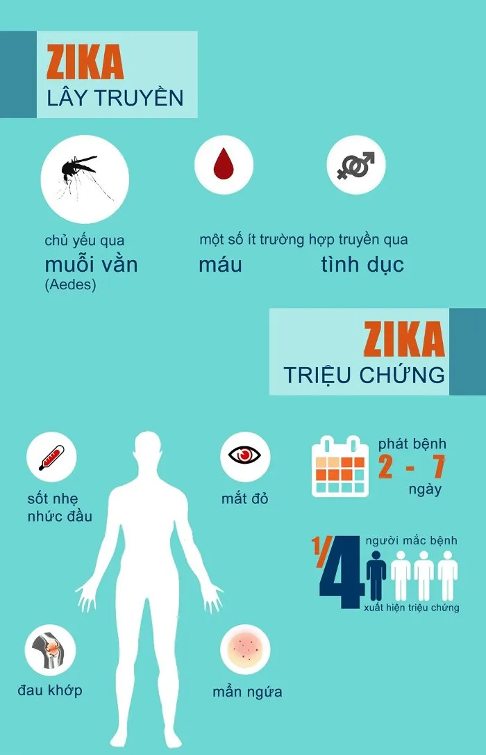 Triệu chứng khi nhiễm virus Zika là: sốt nhẹ, nhức đầu, đau khớp, mẩn ngứa... thời gian ủ bệnh từ 2-7 ngày.