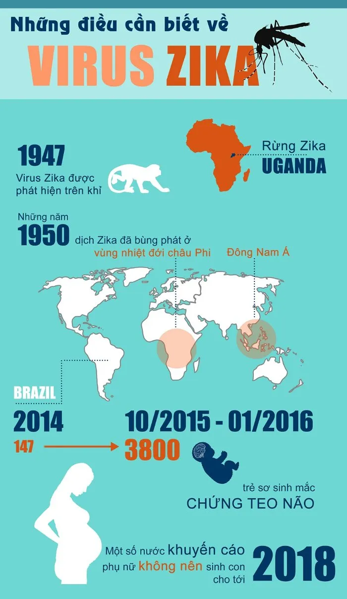 Một số nước khuyến cáo phụ nữ không nên sinh con cho tới năm 2018 vì lo ngại sự bùng phát của dịch bệnh này, gây ra chứng đầu nhỏ ở thai nhi.
