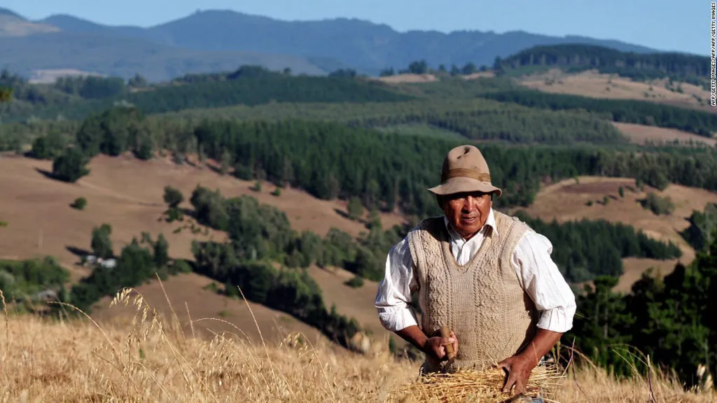 Mapuche