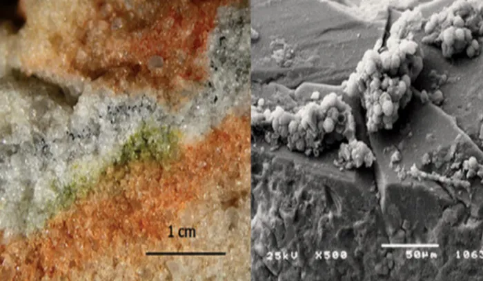 Nấm thu thập từ Nam Cực đem lên vũ trụ này có độ rộng 1,4cm, cao hơn 200 nanomet.