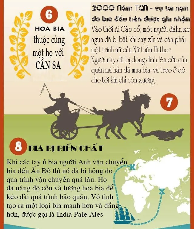 Hoa dùng để ủ bia cùng một họ với cần sa.