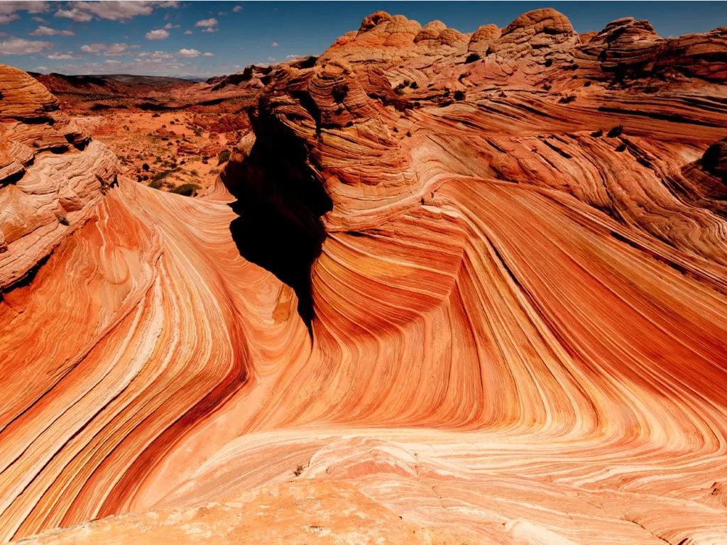 The Wave