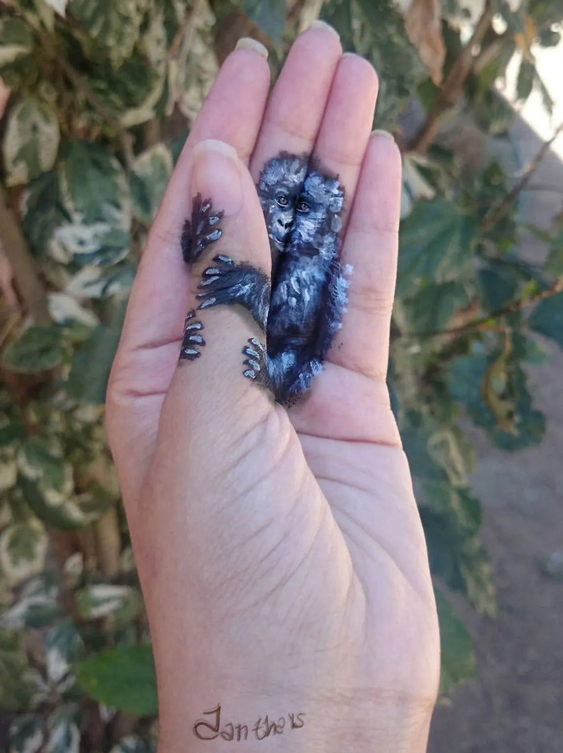 Chú khỉ nhỏ xinh ngại ngùng ôm chặt lấy ngón tay Iantha.
