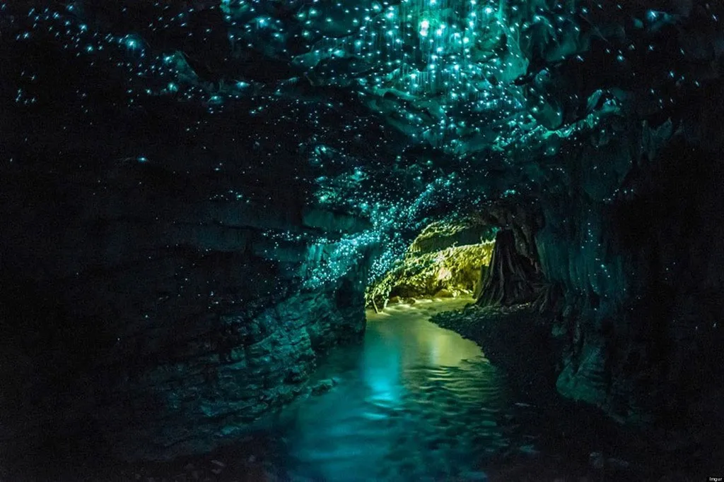 Hang đom đóm Waitomo, Waitomo, New Zealand