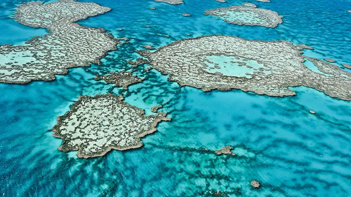 Axit hoá đại dương (ocean acidification) có thể sẽ đe dọa đến sự tồn vong của các rạn san hô trên Trái Đất.