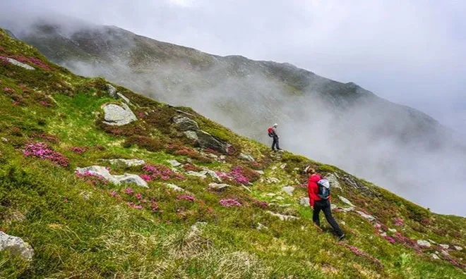Sương mù sườn núi (Upslope fog).