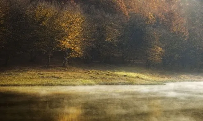 Sương mù bốc hơi (Evaporation fog).