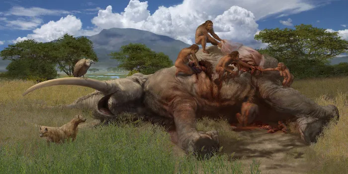 Hominin vốn dĩ đã là loài ăn tạp và biết chớp thời cơ.