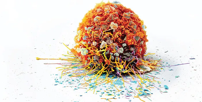Hoàn toàn có thể quan sát quá trình phát triển của những đột biến trên DNA ngay bên trong một khối u.