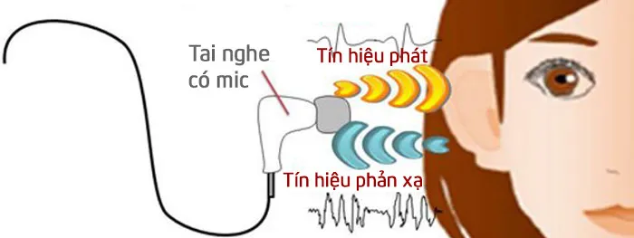 Hình dáng của lỗ tai mỗi người là duy nhất nên tiếng vang mà nó tạo ra cũng duy nhất.