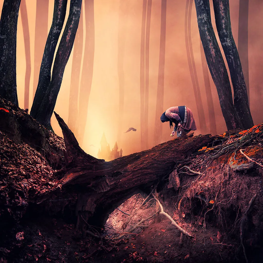 The Lies about dark forests - Cạm bẫy trong rừng sâu.
