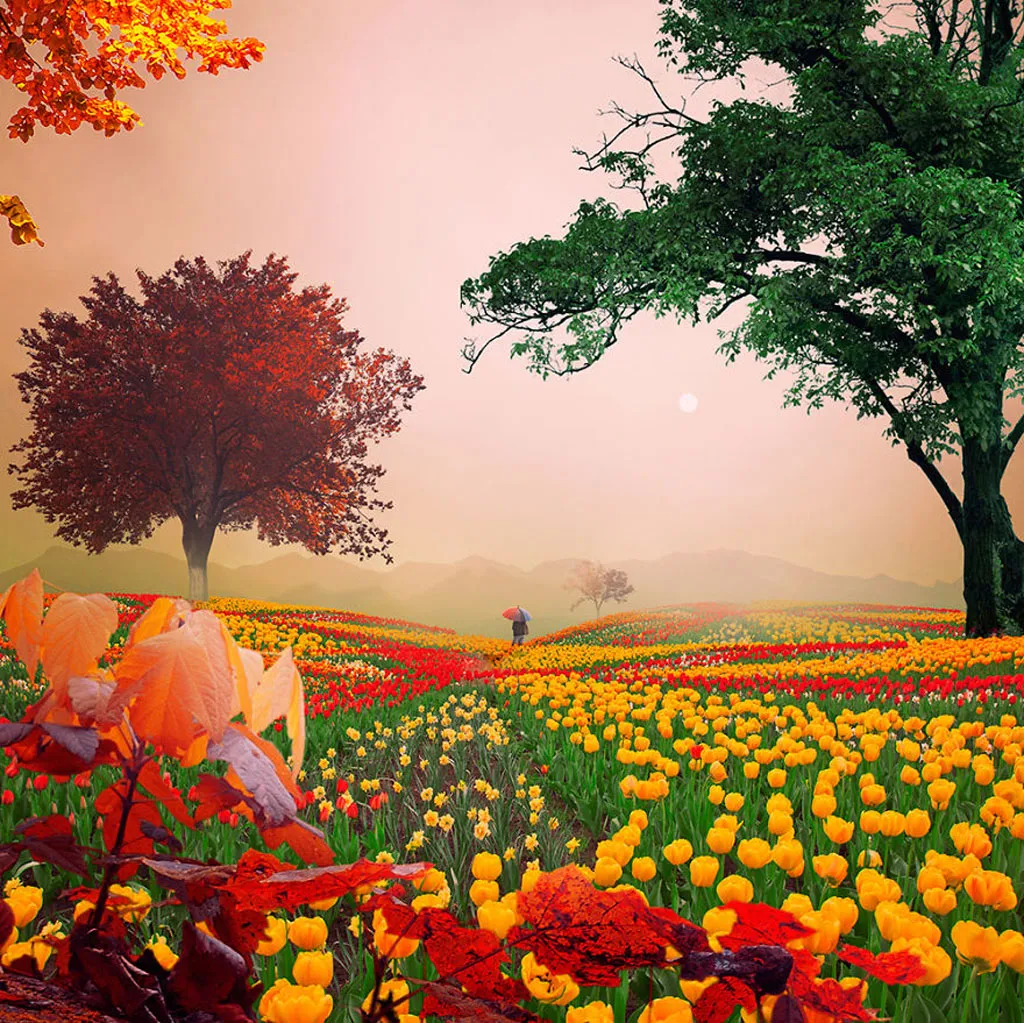 Another colorful day in my life - Một ngày rực rỡ trong tôi.