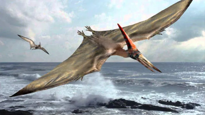 Pterodactyl là thằn lằn có cánh chứ không phải khủng long bay.