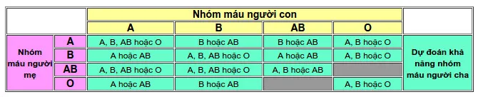 Nhìn vào bảng 2 ta thấy, chỉ có thể xác định tương đối nhóm máu của người Cha phải có.