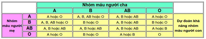 Từ nhóm máu của cha mẹ có thể suy ra nhóm máu của con.