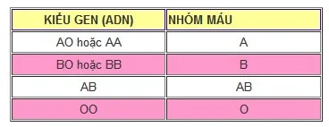 Các kiểu gene khác nhau tạo ra các nhóm máu khác nhau.