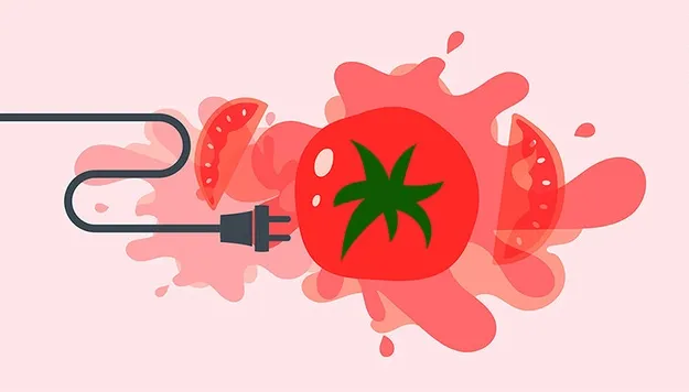 Tế bào vi khuẩn đặc biệt có thể biến cà chua thành điện.