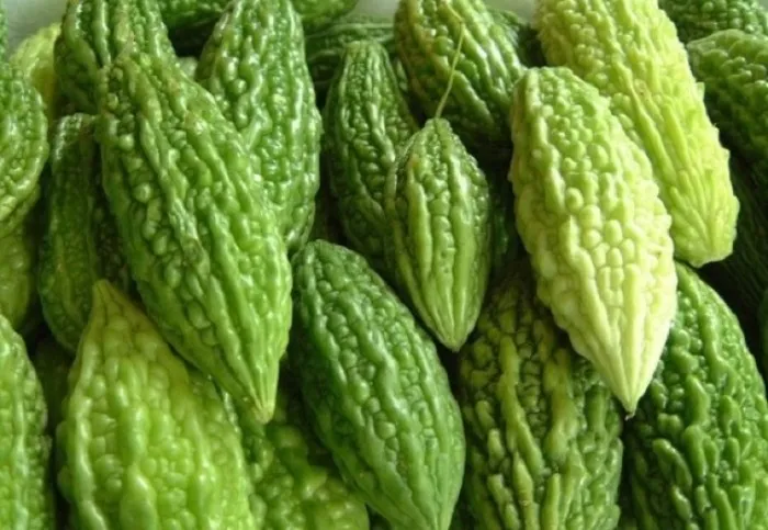 Mướp đắng có khả năng tiêu diệt các tế bào ung thư.