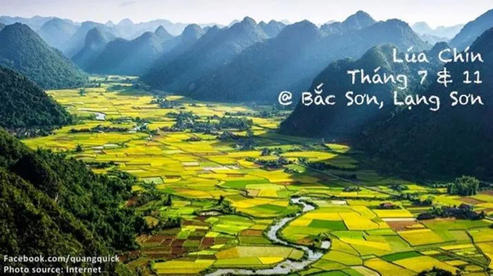 Lúa chín - Bắc Sơn
