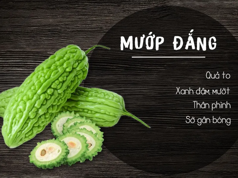 Mướp đắng.