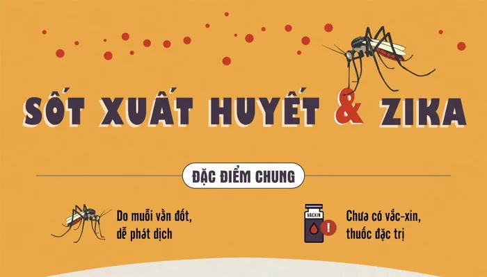 Bệnh sốt xuất huyết và Zika đều do muỗi vằn đốt và hiện tại chưa có vắc xin đặc trị.
