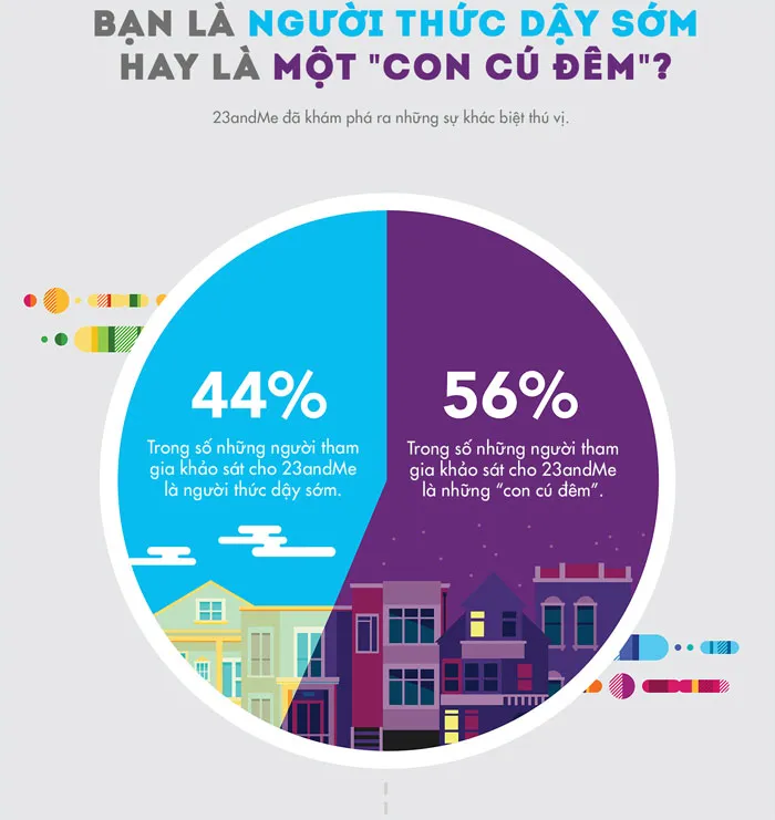 Bạn là một người dậy sớm hay là một con cú đêm?