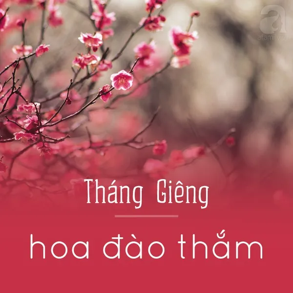 Tháng giêng - Hoa đào thắm
