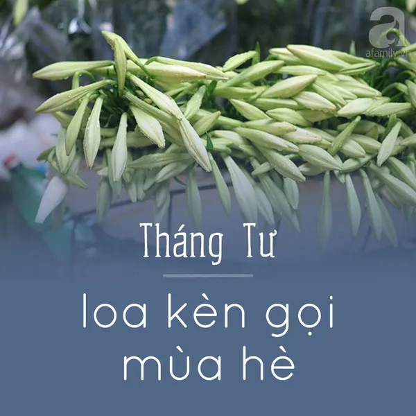 Tháng tư - Loa kèn gọi mùa hè