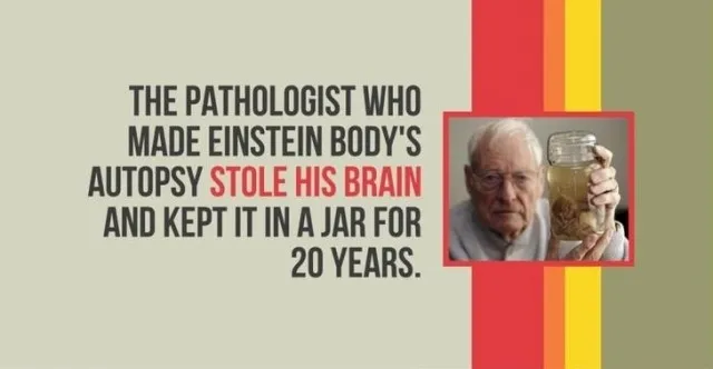 Các nhà nghiên cứu bệnh ở người khám nghiệm tử thi cơ thể của Einstein đã đánh cắp não của ông và giữ nó trong một cái bình trong 20 năm.