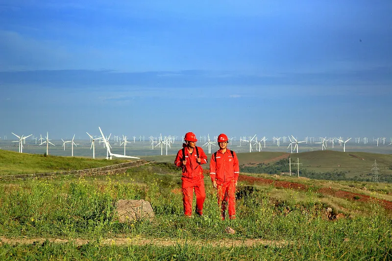 Một cánh đồng phong năng của công ty sản xuất năng lượng gió Goldwind, Trung Quốc.