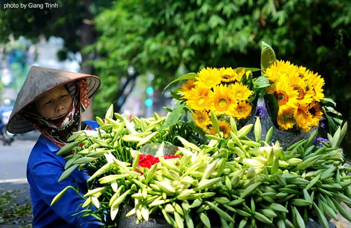 Hoa theo chân những người bán rong xuống phố. Mỗi bó 10 bông có giá 35.000 đồng.
