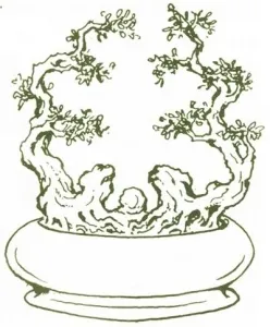 Thế lưỡng long tranh châu