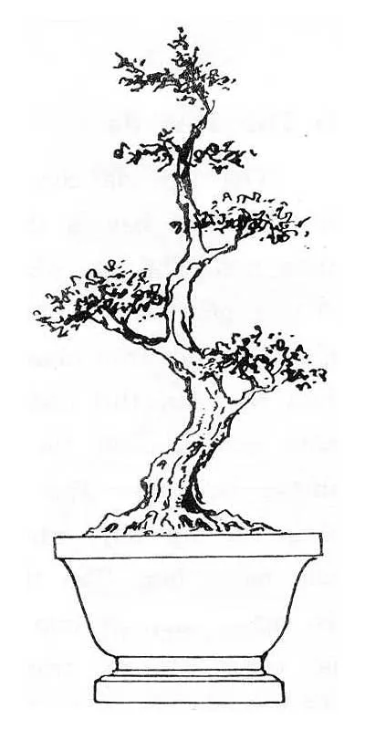 Thế trung bình cong