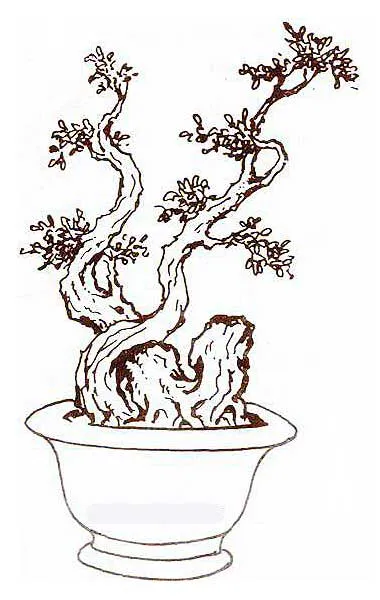 Thế long đàn phượng vũ
